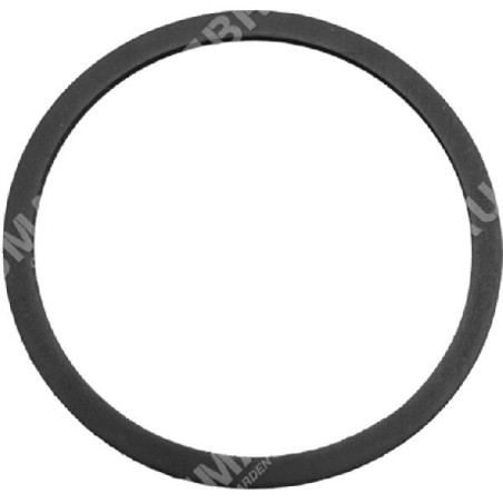 Joint de bouchon de réservoir de liquide pour atomiseurs AGRIMONDO - TURBINE - CMS - 005647 | Newgardenstore.eu