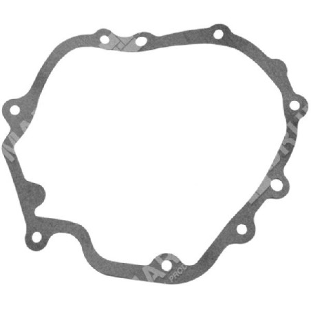 Guarnizione carter motore per rasaerba GIANS Compatibile - 019213 | Newgardenstore.eu
