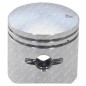 Piston complet pour pompes de pulvérisation ATTILA - 056814