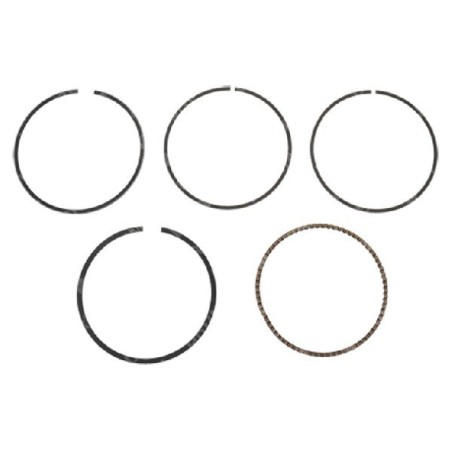 Kit de segments YAT - 058530 | Newgardenstore.eu