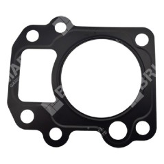 Kopfdichtung für DUCAR-Motorpumpen 96024 - 049589 | Newgardenstore.eu