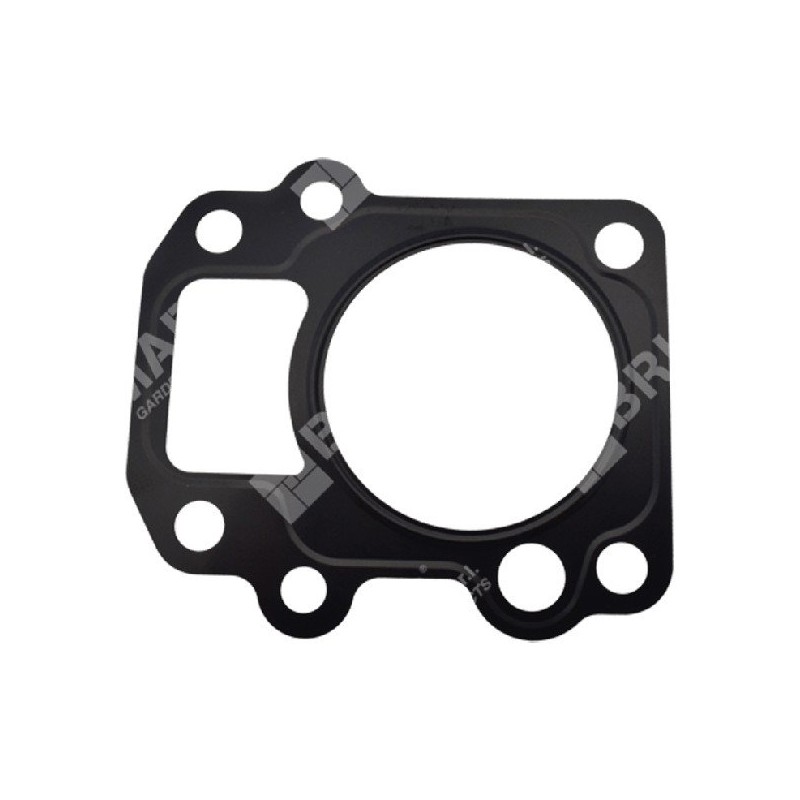 Guarnizione testata per motopompe DUCAR 96024 Compatibile - 049589