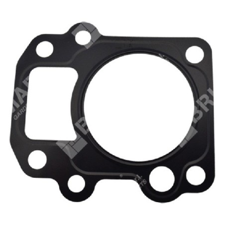 Kopfdichtung für DUCAR-Motorpumpen 96024 - 049589 | Newgardenstore.eu