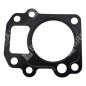 Junta de culata para motobombas DUCAR 96024 - 049589