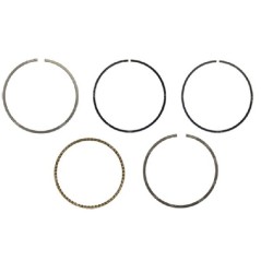 Kit de segments YAT - 058495 | Newgardenstore.eu