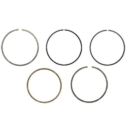 Kit de segments YAT - 058495 | Newgardenstore.eu