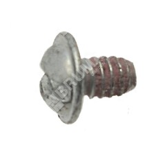 Carburettor Butterfly Screw BRIGGS & STRATTON 691636 - 048051
