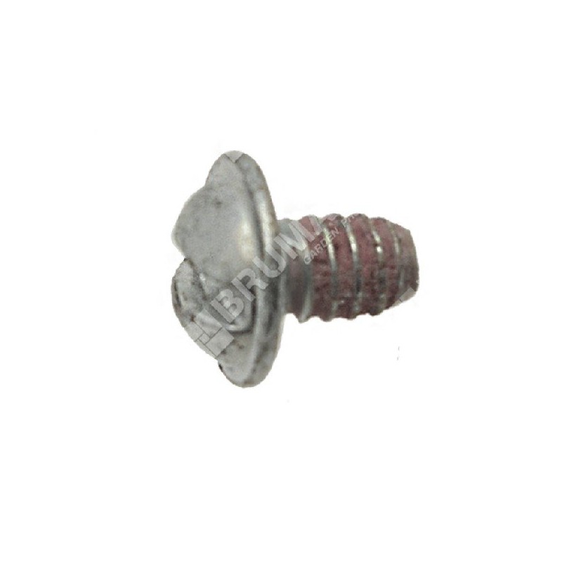 Carburettor Butterfly Screw BRIGGS & STRATTON 691636 - 048051