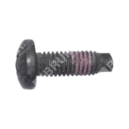 BRIGGS & STRATTON Schraube 790029 - 047269 | Newgardenstore.eu