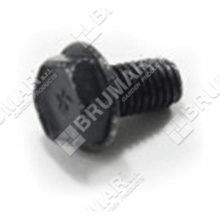 BRIGGS & STRATTON Schraube 699851 - 026218 | Newgardenstore.eu