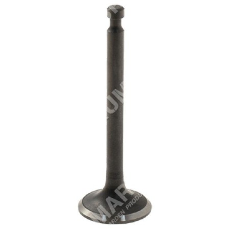 Exhaust valve kit for DUCAR engines - 047134 | Newgardenstore.eu