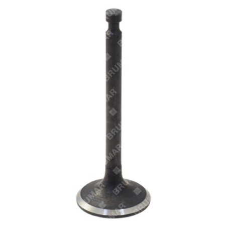 Soupape d'admission pour motogénérateurs DUCAR - 038219 | Newgardenstore.eu