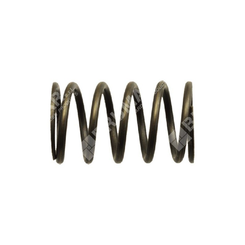 Ressort de soupape pour moteurs HONDA - 013818