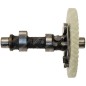 Albero a camme DG900E Compatibile - 059335
