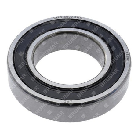 Standard bearing 6007 internal diameter 35 mm - 055364 | Newgardenstore.eu