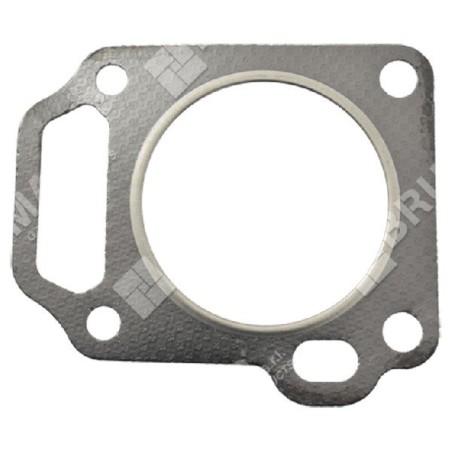 Kopfdichtung für DUCAR-Motorpumpen 96063 - 047353 | Newgardenstore.eu