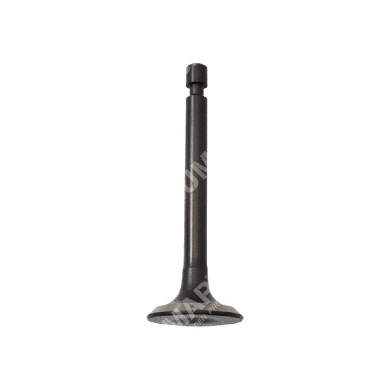 Drain valve for DUCAR motor pumps - 049581