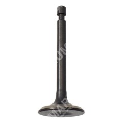 Intake valve for DUCAR motor pumps - 049580 | Newgardenstore.eu