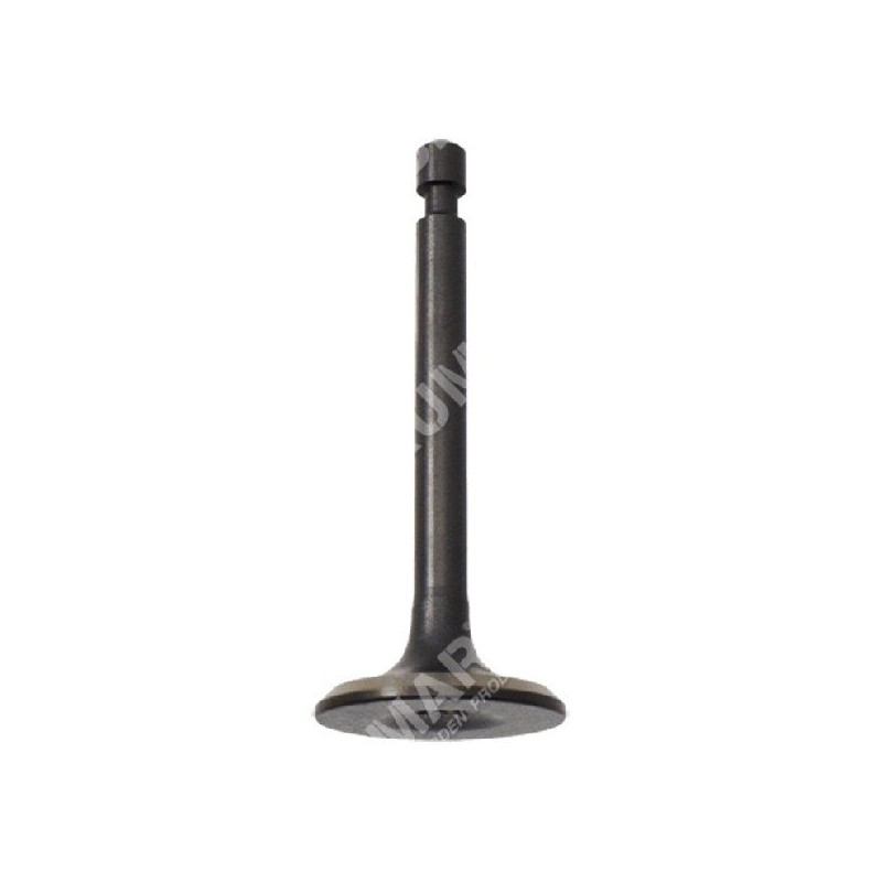 Intake valve for DUCAR motor pumps - 049580