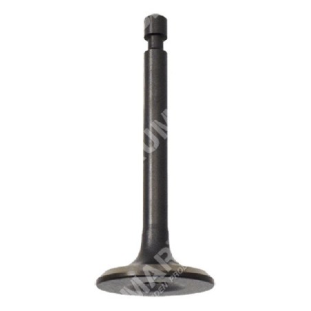 Intake valve for DUCAR motor pumps - 049580 | Newgardenstore.eu