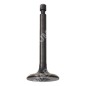 Intake valve for DUCAR motor pumps - 049580