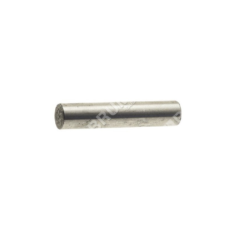 Shaft pin for GREEN LINE motor pumps - 040169
