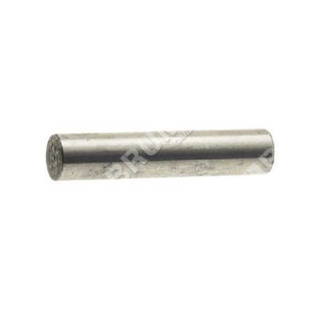 Pasador de eje para motobombas GREEN LINE - 040169 | Newgardenstore.eu