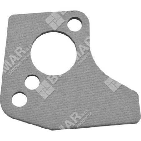 Joint de carburateur pour moteurs BRIGGS & STRATTON 273113S (ex 272585) - 030030 | Newgardenstore.eu