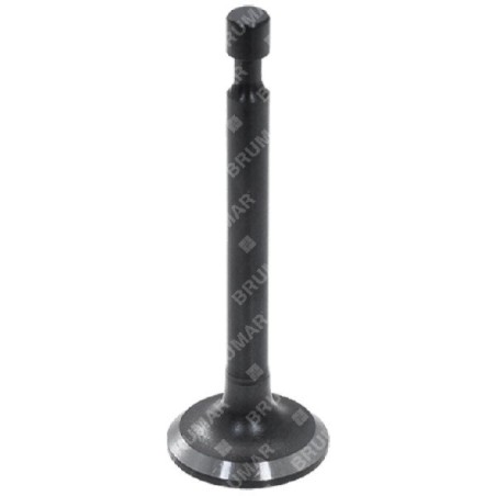 Intake valve for MAORI lawnmower - 054927 | Newgardenstore.eu