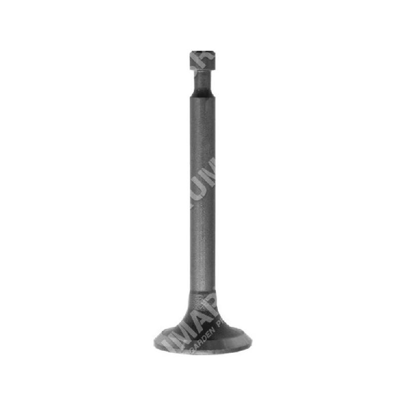 Intake valve for DAYE lawnmower - DAYEE - 027669 Intake valve for DAYE lawnmower - DAYEE - 027669