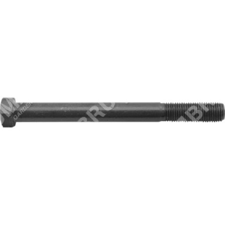Blade screw 3/8" length 101 mm MULTIBRAND - 010289 | Newgardenstore.eu