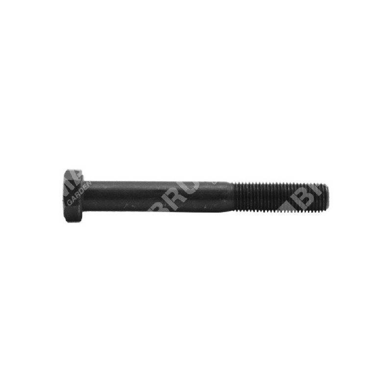 Tornillo hoja 3/8" longitud 76 mm MULTIMARCA - 010287