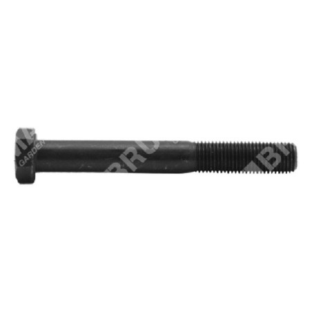 Blade screw 3/8" length 76 mm MULTIBRAND - 010287 | Newgardenstore.eu