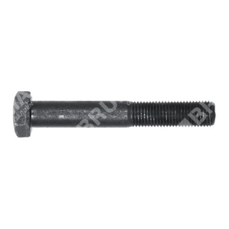 Blade screw 3/8" length 63.4 mm MULTIBRAND - 003023 | Newgardenstore.eu