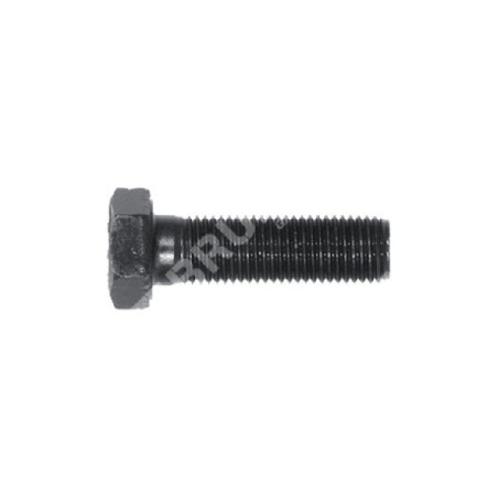 Vis à lame 3/8" longueur 32 mm MULTIBRAND - 000101 | Newgardenstore.eu