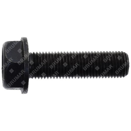 BLX blade screw - 058339 | Newgardenstore.eu