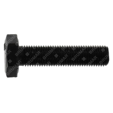 Vis à lame NEWTON - 057873 | Newgardenstore.eu