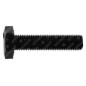 NEWTON blade screw - 057873