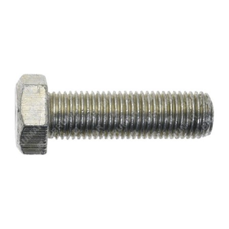 Federbolzen mit Mutter 3/8'' Steigung 1,00 mm Länge 32 mm für MAORI Schneefräse - 052316 | Newgardenstore.eu