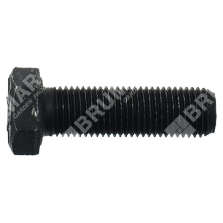 MAORI-Klingenbolzen – 052314 | Newgardenstore.eu