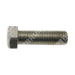 Blade screw 3/8" pitch 1.25 mm for MAORI tractors - 050691 | Newgardenstore.eu