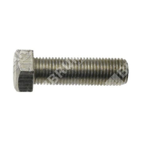 Blade screw 3/8" pitch 1.25 mm for MAORI tractors - 050691 | Newgardenstore.eu