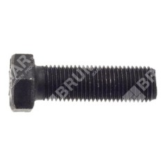 Blade screw 3/8" pitch 1.25 mm for MAORI tractors - 050689 | Newgardenstore.eu