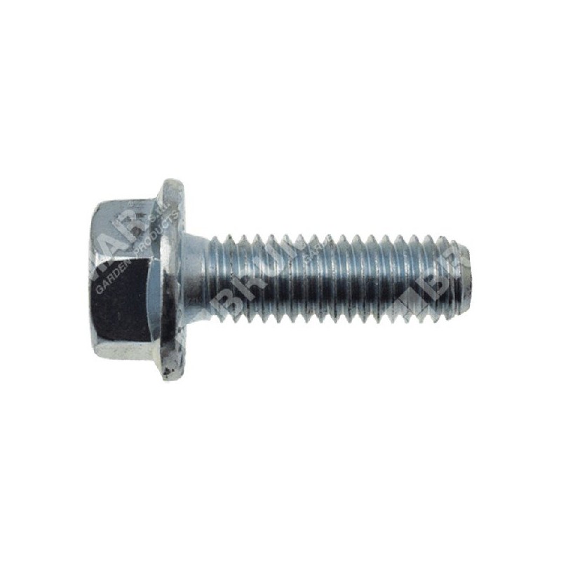 Vis de lame pas 1,25 mm longueur 24,8 mm pour tondeuse à gazon TEKNICO - 049463 Vis de lame pas 1,25 mm longueur 24,8 mm pour tondeuse à gazon TEKNICO - 049463