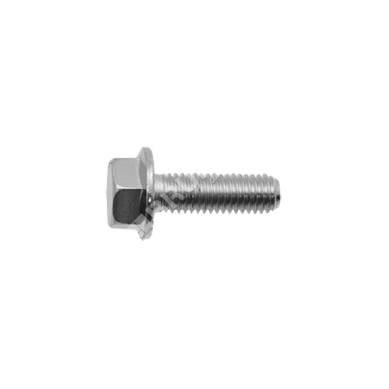 Vite lama passo 1.25 mm lunghezza 25 mm per rasaerba MAORI COMPATIBILE - 047522
