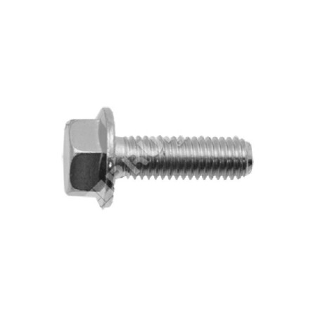 Blade screw pitch 1.25 mm length 25 mm for MAORI lawnmower - 047522 | Newgardenstore.eu