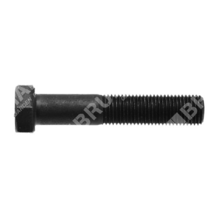 Vis de lame pas 1,00 mm longueur 50 mm pour tondeuse à gazon TONINO LAMBORGHINI - 046514 | Newgardenstore.eu