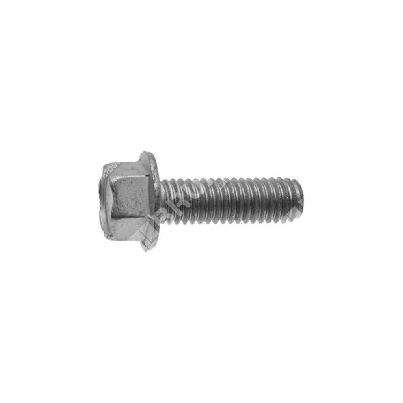 Paso de tornillo de cuchilla 1,25 mm longitud 31 mm para cortacésped TONINO LAMBORGHINI - 046508 Paso de tornillo de cuchilla 1,25 mm longitud 31 mm para cortacésped TONINO LAMBORGHINI - 046508