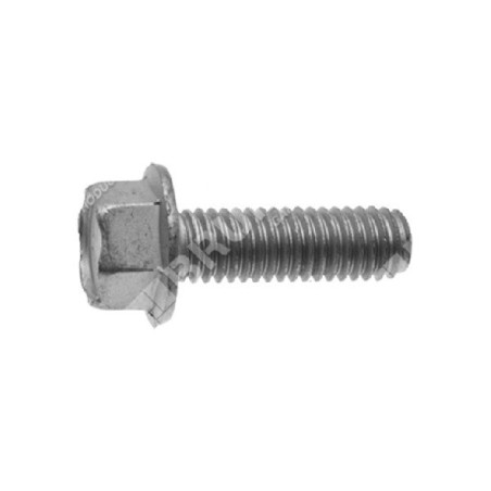 Vis de lame pas 1,25 mm longueur 31 mm pour tondeuse à gazon TONINO LAMBORGHINI - 046508 | Newgardenstore.eu