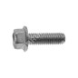 Paso de tornillo de cuchilla 1,25 mm longitud 31 mm para cortacésped TONINO LAMBORGHINI - 046508 Paso de tornillo de cuchilla 1,25 mm longitud 31 mm para cortacésped TONINO LAMBORGHINI - 046508